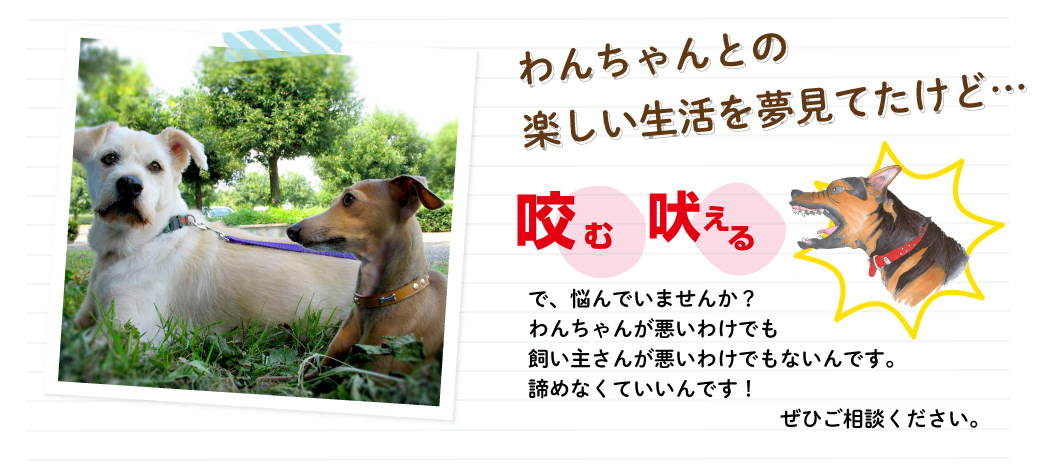 わんちゃんとの楽しい生活を夢見ていたけど、、