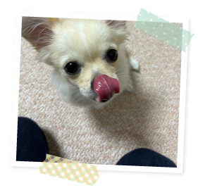 お客様からの声t様