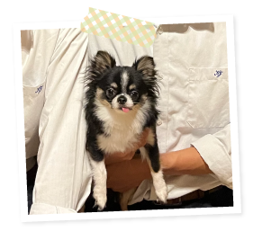 お客様からの声k様